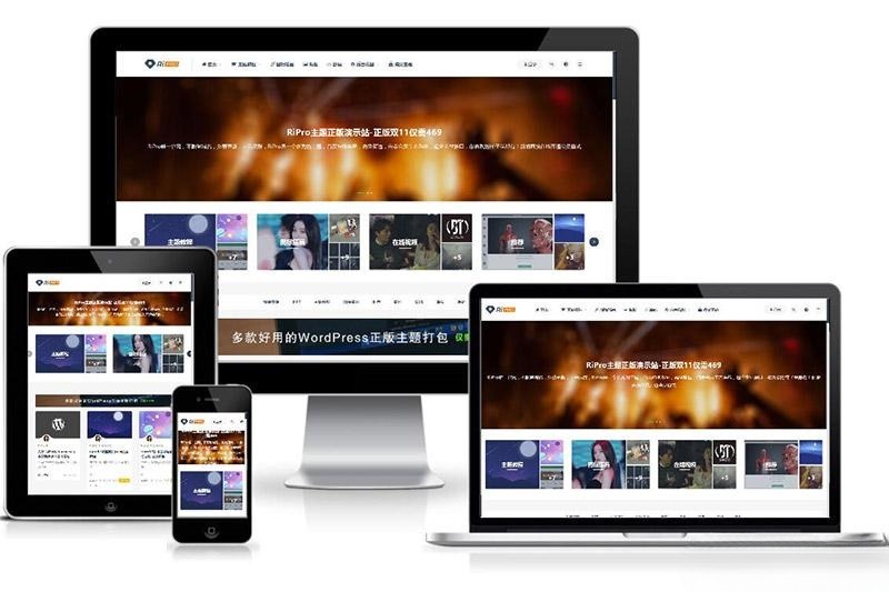 RiPro 付费资源下载 WordPress主题源码 图片 RiPro 付费资源下载 WordPress主题源码 图片
