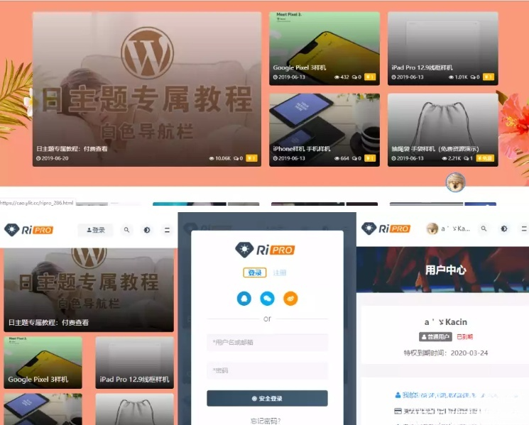 RiPro主题WordPress源码无限制版V8.7 图片 RiPro主题WordPress源码无限制版V8.7 图片