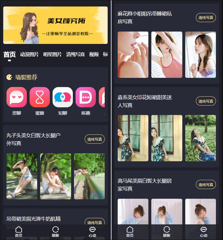 抖你妹WordPress主题源码 仿抖音图片模式SEO优化 图片