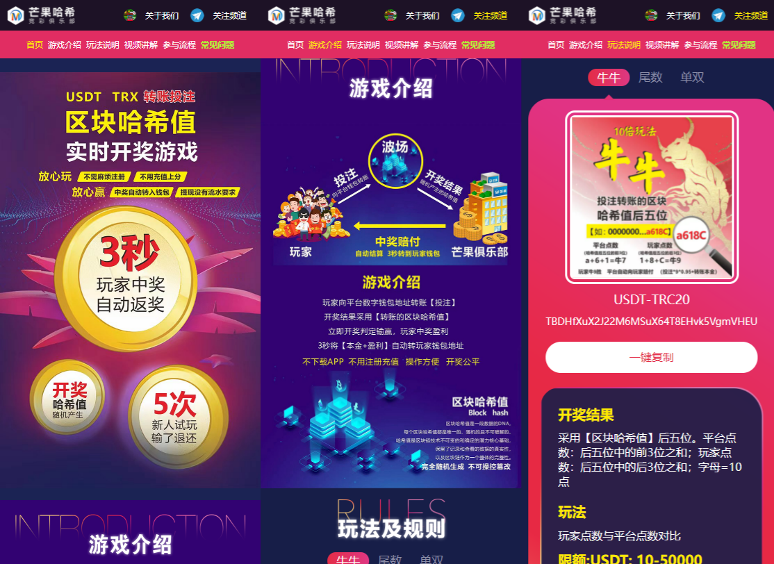 哈希竞猜智能合约返奖系统PHP源码 图片 哈希竞猜智能合约返奖系统PHP源码 图片